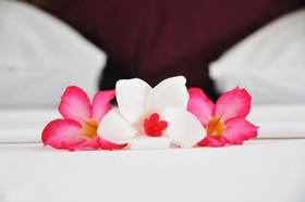Coconut Garden Resort