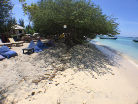 Coral Beach 2 Bungalow