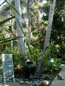 Eden Cottages
