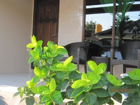 Giliano Residence