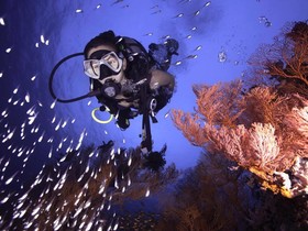 Gili Divers Hotel