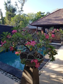 Gili Exotic Villas