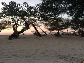 Gili Turtle Beach Resort