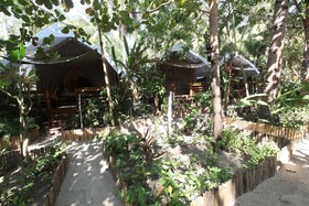 La Cocoteraie Ecolodge