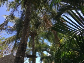 Oceane Paradise Bungalow
