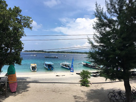 Ozzy Cottages & Bungalows