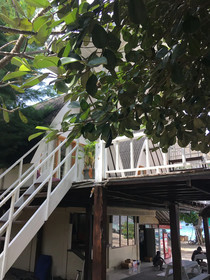 Ozzy Cottages & Bungalows