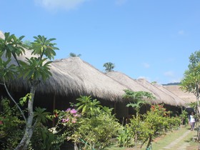 Dream Hotel