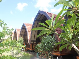 Dream Hotel