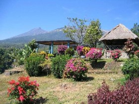 Pondok Senaru Cottages