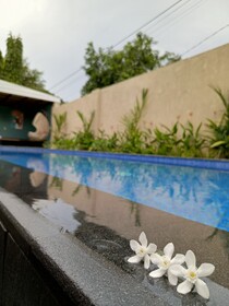 Zavana Rooms