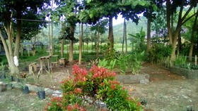 E-dotel Anjani Homestay