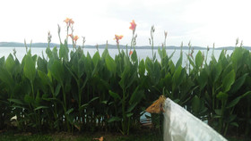 Barelang Bridge Hotel