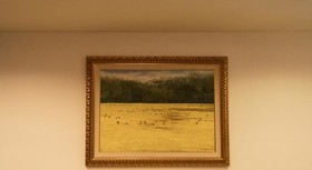 Crown Vista
