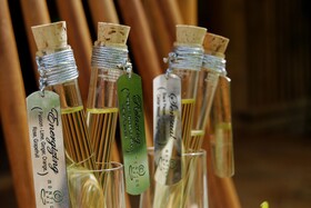 Montigo Resorts Nongsa