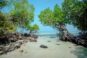 Bintan Exotica Resort by WH