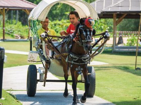 Mayang Sari Beach Resort