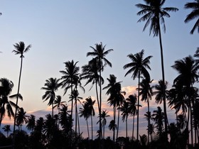 Mutiara Beach Resort