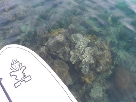 Mutiara Beach Resort