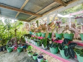 Desa Wisata Bahoi By OYO