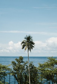 Dialoog Tahuna