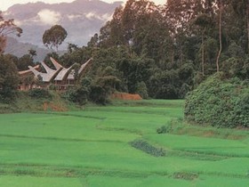 Hotel Marante Toraja