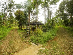 Desa Wisata Air Terjun Way Kalam Syariah By OYO