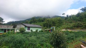Penginapan Imanuel Lau Gara