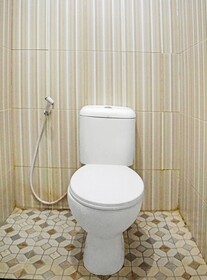 OYO 91303 Puri Dennis