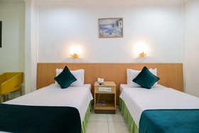 Mariani International Hotel
