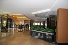 The Axana