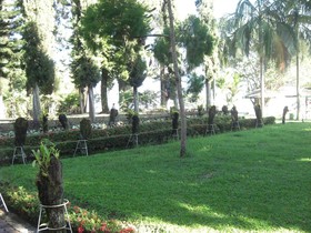 Hotel Pandu Lakeside Tuktuk