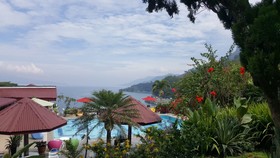Parapat View