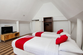 Dg Inn by OYO Rooms
