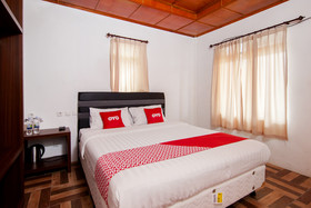Dg Inn by OYO Rooms