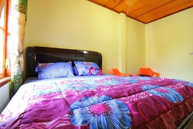 Martha Guest House