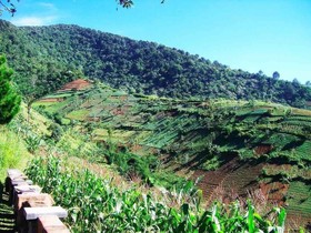 Bukit Talita Mountain Resort
