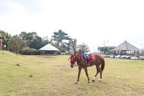 Camp Hulu Cai By OYO Rooms