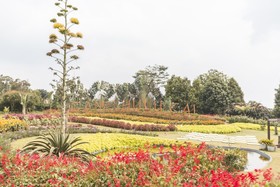 Camp Hulu Cai By OYO Rooms