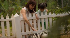 Novus Giri Resort & Spa