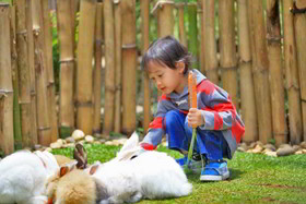 Novus Giri Resort & Spa