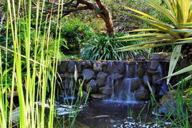 Novus Giri Resort & Spa