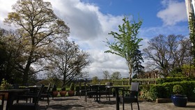 Leixlip Manor