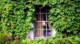 Barberstown Castle Hotel