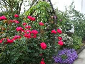 Green Hill B&B