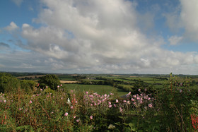 Ardfield B&B