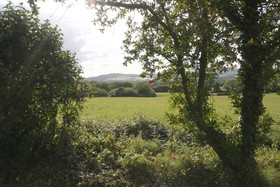 Ashgrove Bed & Breakfast