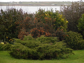 Drom Caoin B&B