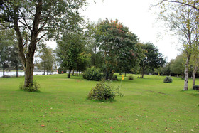 Woodview Cottage