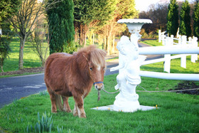 Arradale House B&B